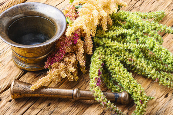 Introduzione all’Ayurveda – Corso online in inglese di S-VYASA University