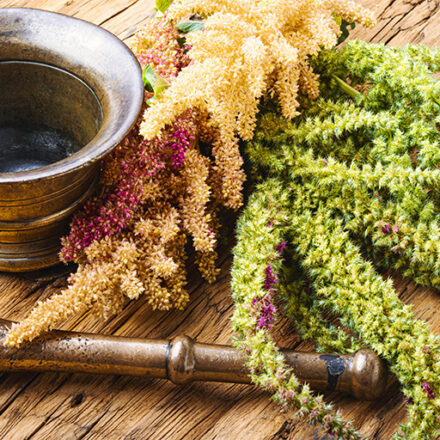 Introduzione all’Ayurveda – Corso online in inglese di S-VYASA University