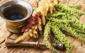 Introduzione all’Ayurveda – Corso online in inglese di S-VYASA University